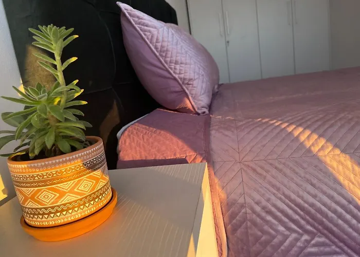 Apartamento Comfy Nest Apartment- Free Parking