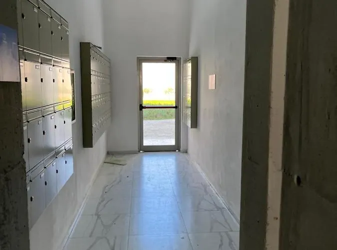 Apartment Comfy Nest Apartment- Free Parking *