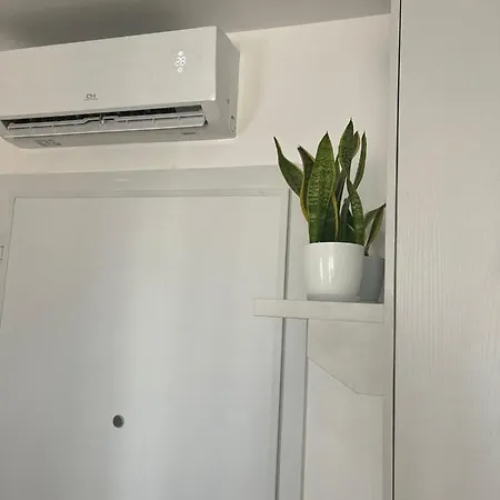 Comfy Nest Apartment- Free Parking Apartment